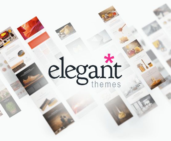 elegant-themes-review